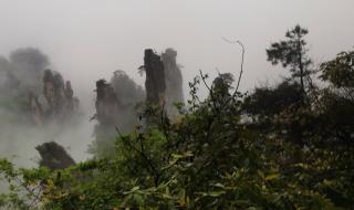 张家界要几天合适